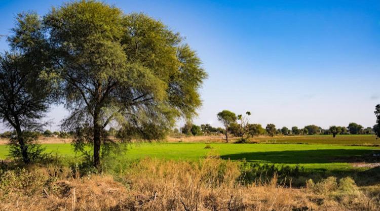 Ananya Farms Paradise Jodhpur  Exterior photo