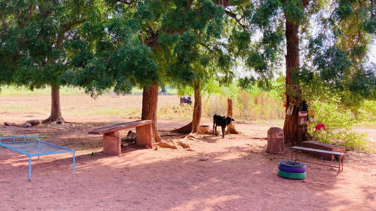 Ananya Farms Paradise Jodhpur  Exterior photo